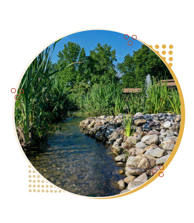 Gracedale Garden stream
