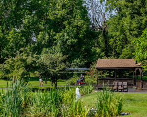 Gracedale gardens