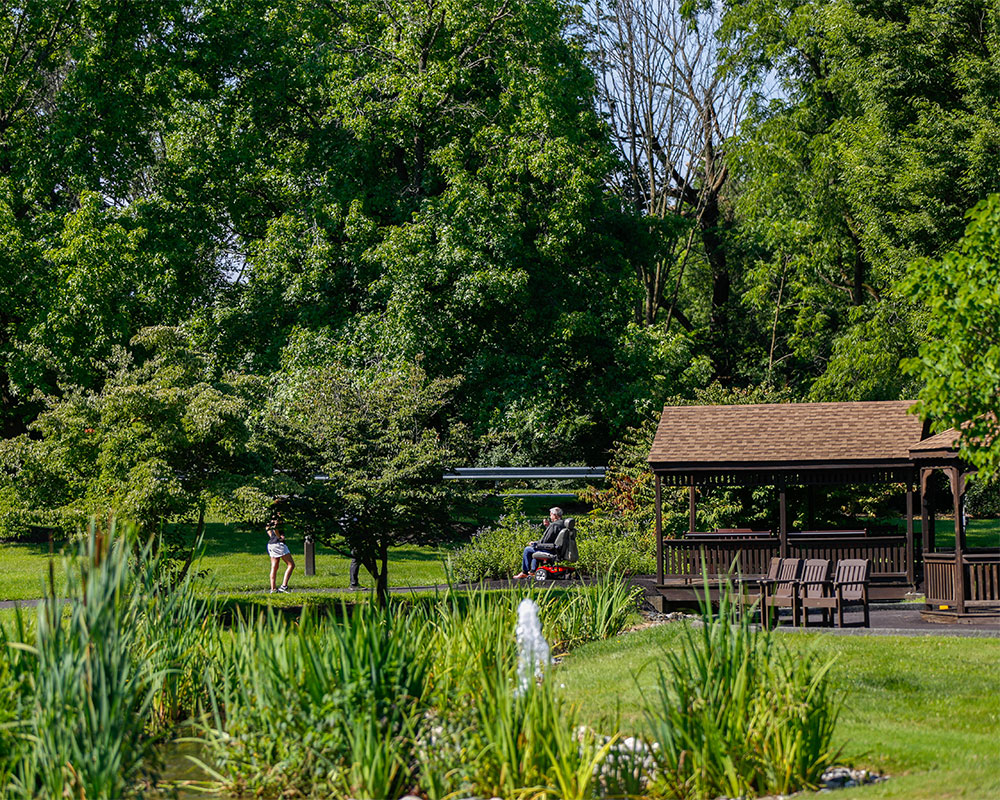 Gracedale gardens