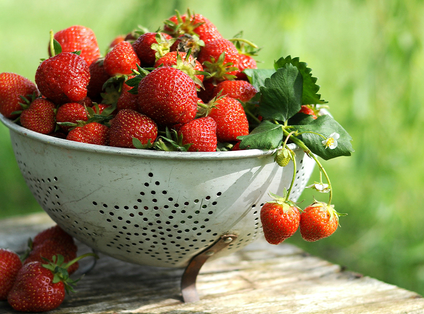 strawberry-fest