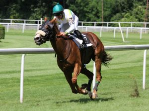 A man riding a horse during a race