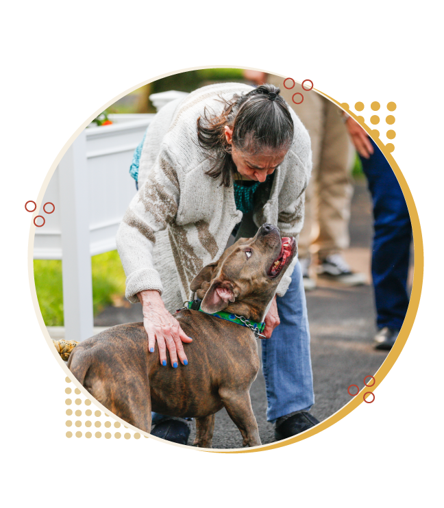 Resident petting River, our dog